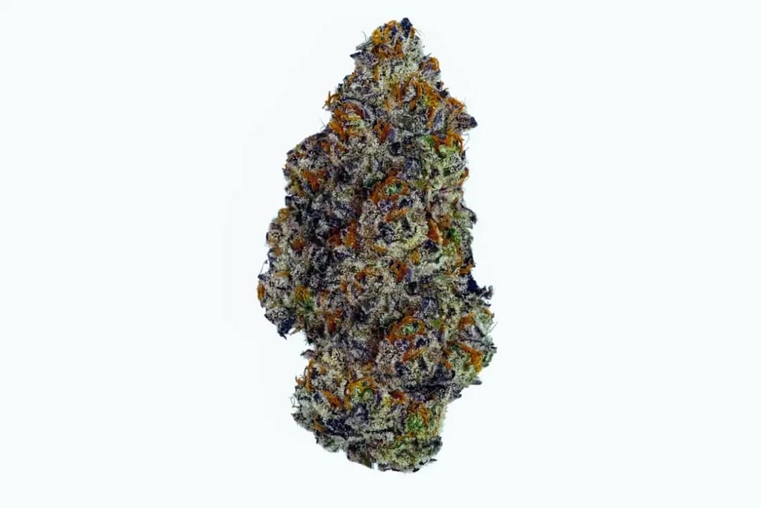 Slurricane