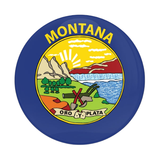 Badge 3
